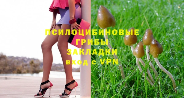 Альфа ПВП Осинники