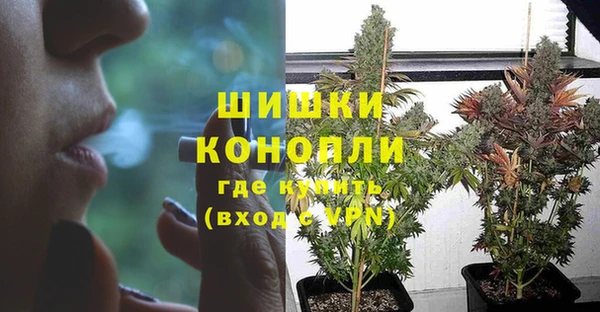 ПСИЛОЦИБИНОВЫЕ ГРИБЫ Остров