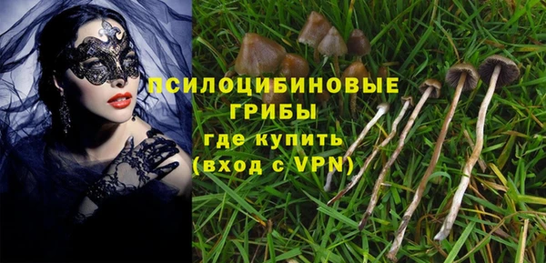 mdpv Алзамай